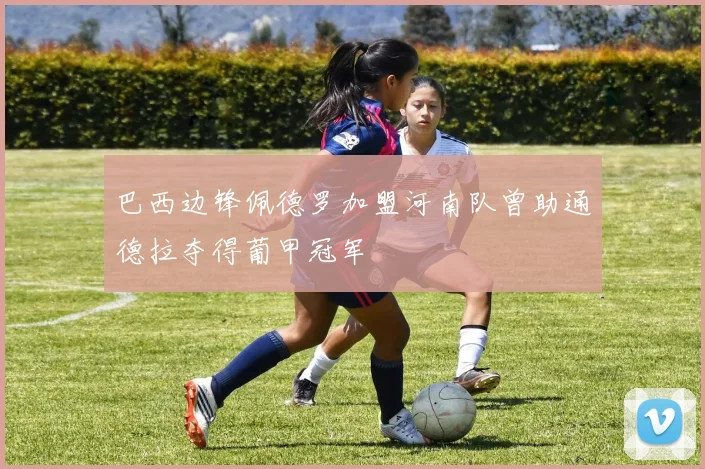 巴西边锋佩德罗加盟河南队曾助通德拉夺得葡甲冠军