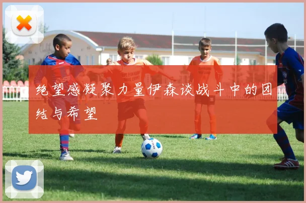 绝望感凝聚力量伊森谈战斗中的团结与希望